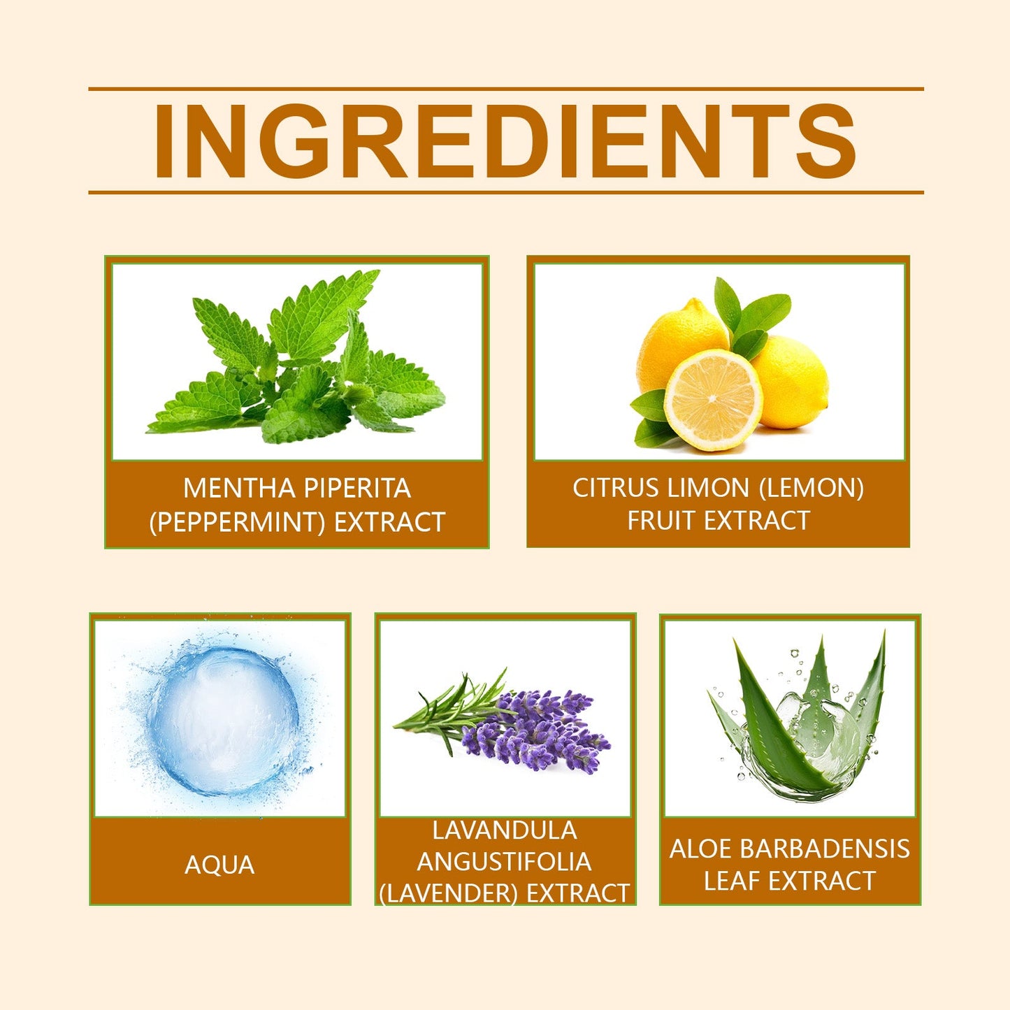Herbal Mouthwash, Herbal Ingredients Gently Clean Teeth Odor Daily Care Mouthwash - Korvel