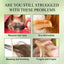Hair Care Essential Oil, Repair Frizzy Split Ends Damaged Moisture Hair Soft And Strong Hair Care Essential Oil - Korvel