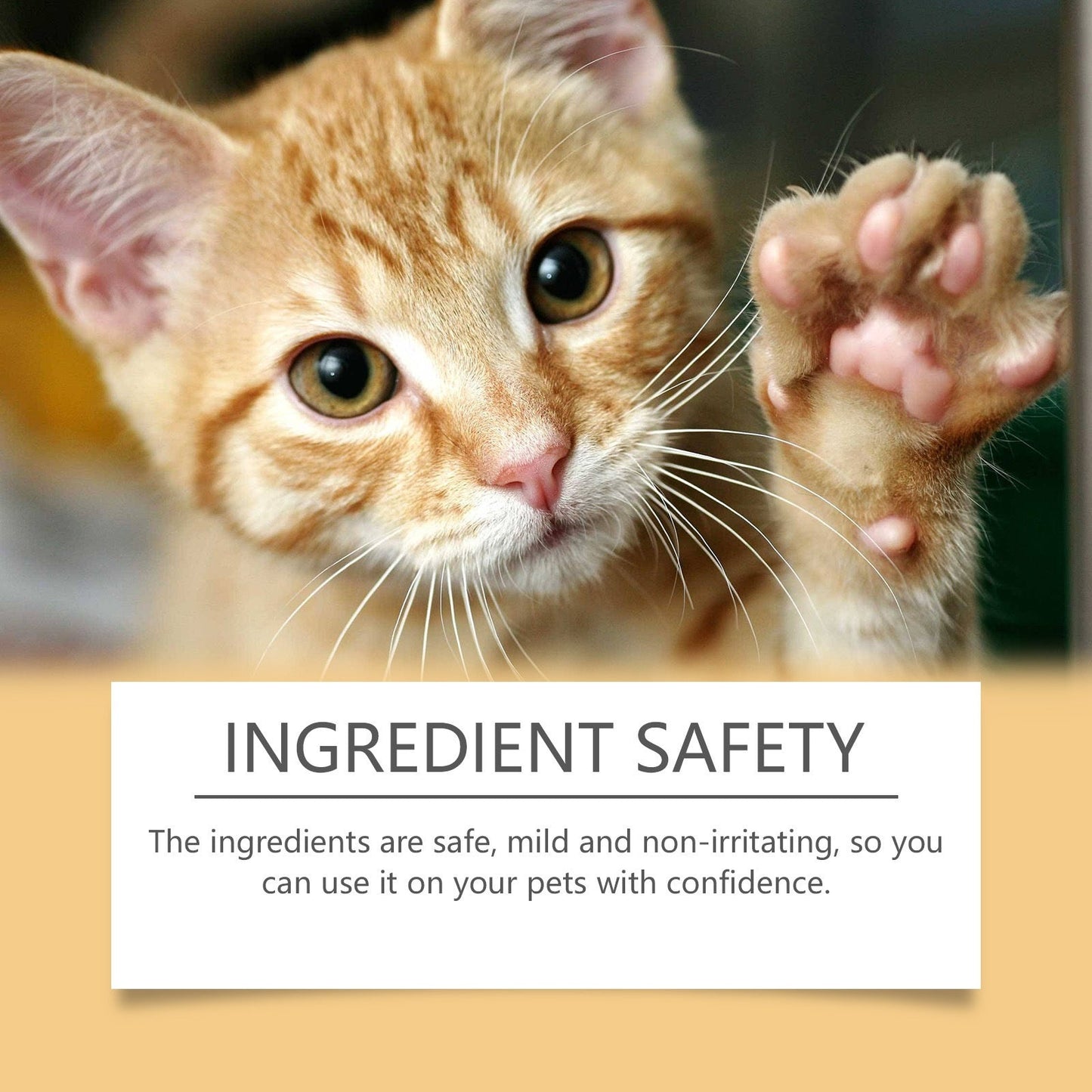 Pet Paw Care Stick for Moisturizing and Softening Paws to Prevent Dryness and Cracking - Korvel