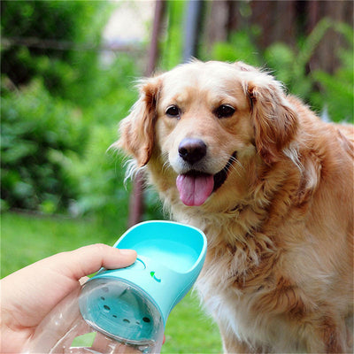Bouteille d'eau portable pour animaux de compagnie pour aventures en plein air