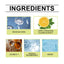 Premium All-Purpose Decontamination Cleaner Spray