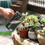 Arrosoir en acier inoxydable de 1,5 L avec bec détachable