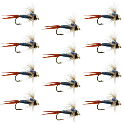 Copper John Nymph Flies - Metallic Blue Bead Head - 12 Pack Size 10 - Korvel
