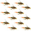Premium Double Bead Twenty Incher Nymph Flies - 12 Pack, Size 10 - Korvel