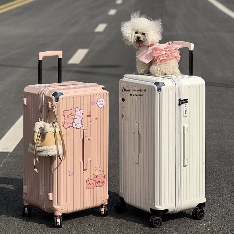 Simple Home Five-Wheel Large Capacity Traveling Trolley Case