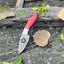Custom Damascus Steel Fixed Blade Pocket Knife - Ideal for Hunting - Korvel