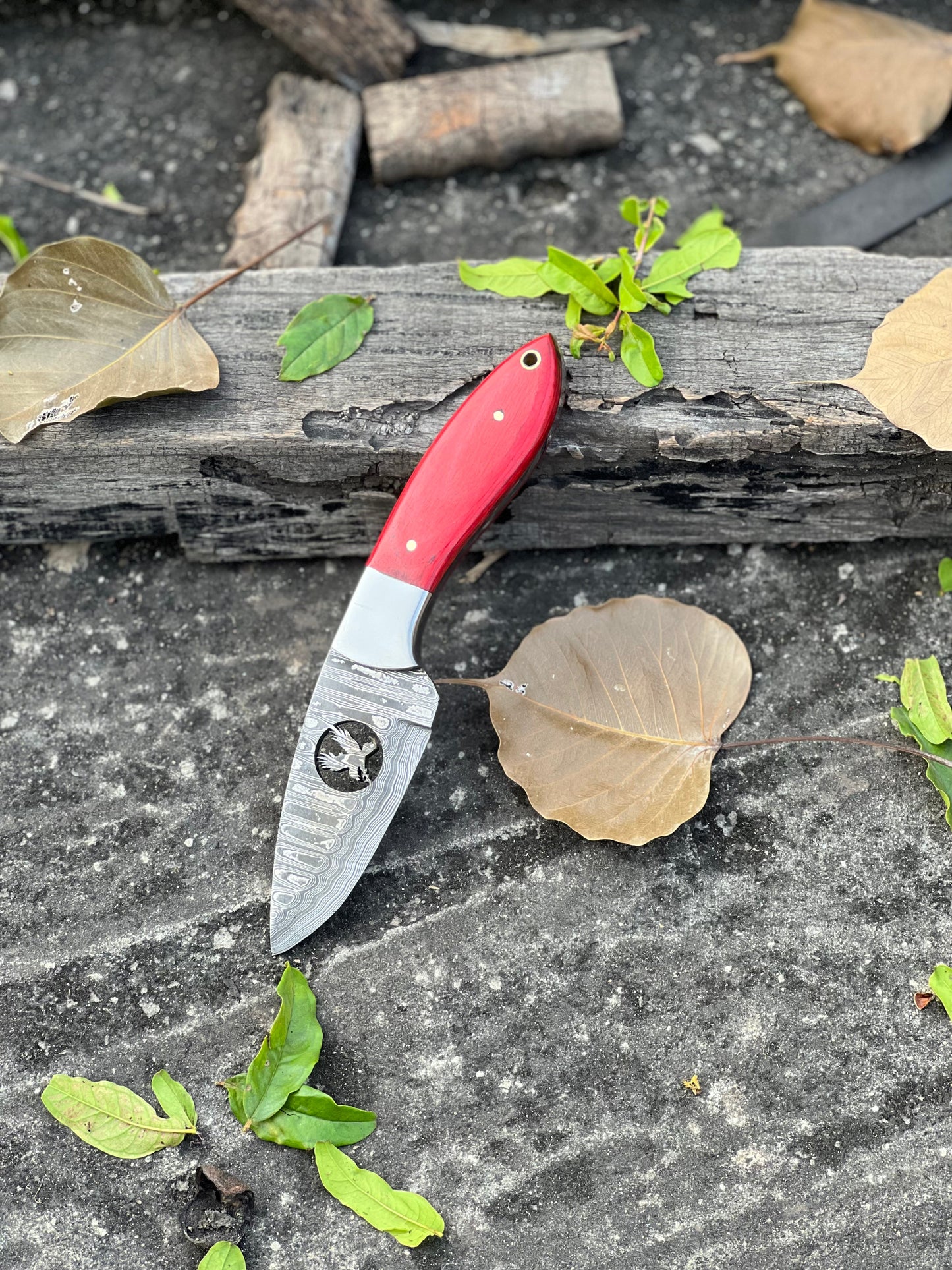 Custom Damascus Steel Fixed Blade Pocket Knife - Ideal for Hunting - Korvel
