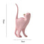 Enchanting Cat Ornament Creative Office Desktop Bedroom Living Room Decoration Room Decoration - Korvel