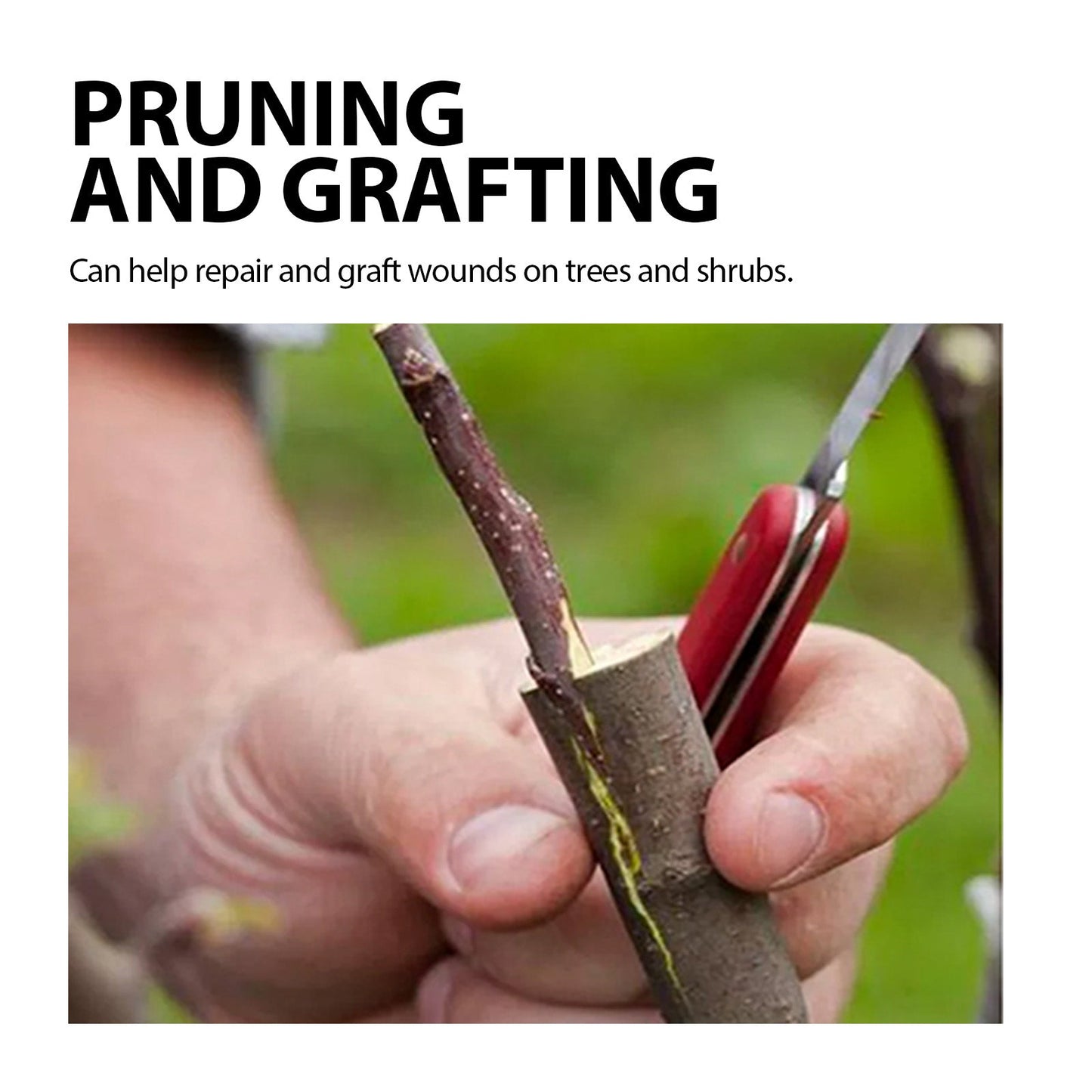 Tree Wound Dressing for Fruit Trees and Shrubs