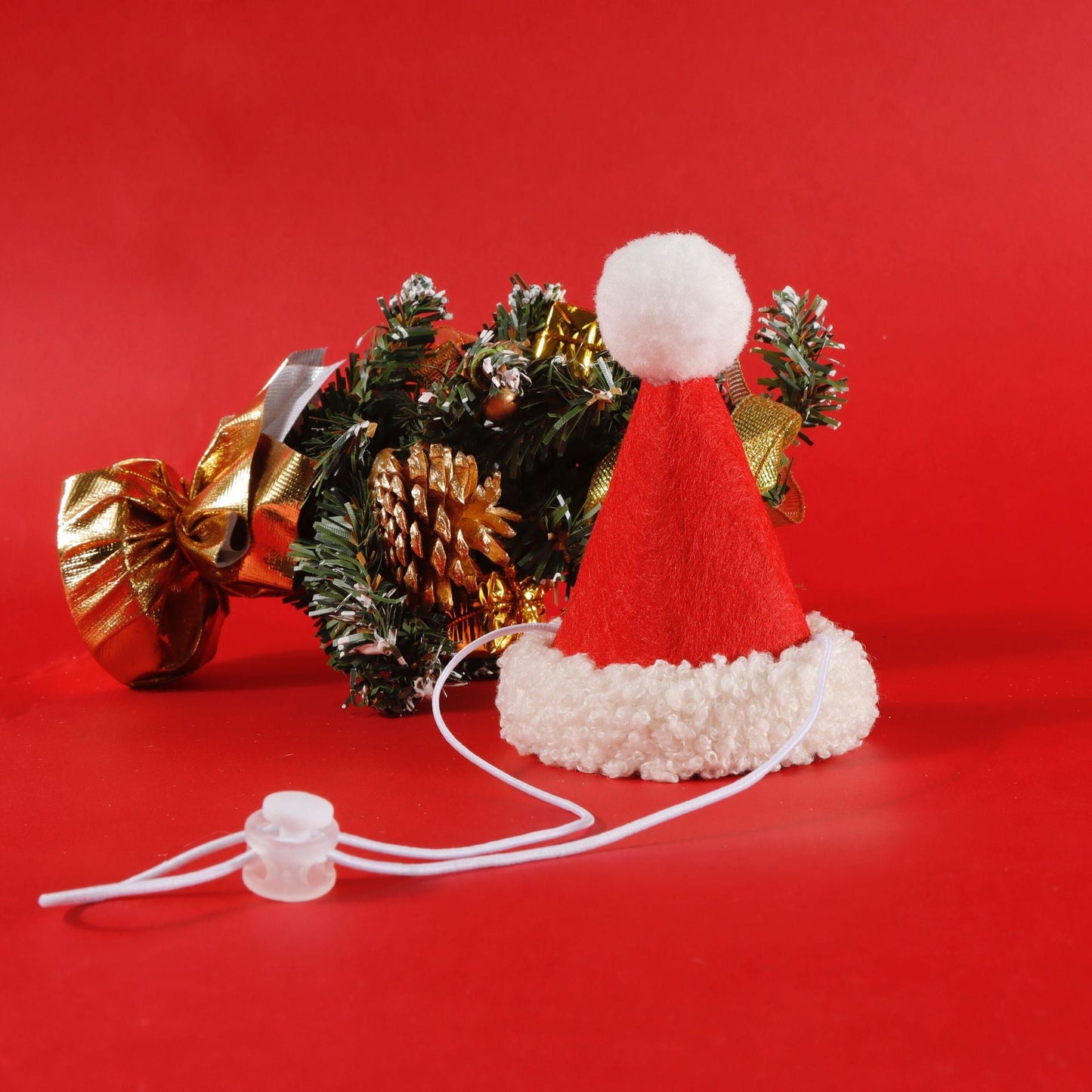 Ensemble de Costume Festif pour Animaux de Compagnie pour Célébrations de Noël