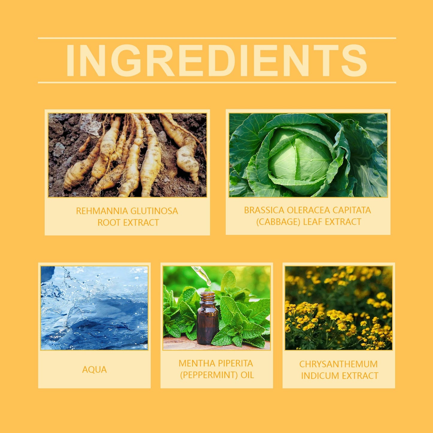 Crème de soin aux herbes pour l'hydratation et le confort de la peau
