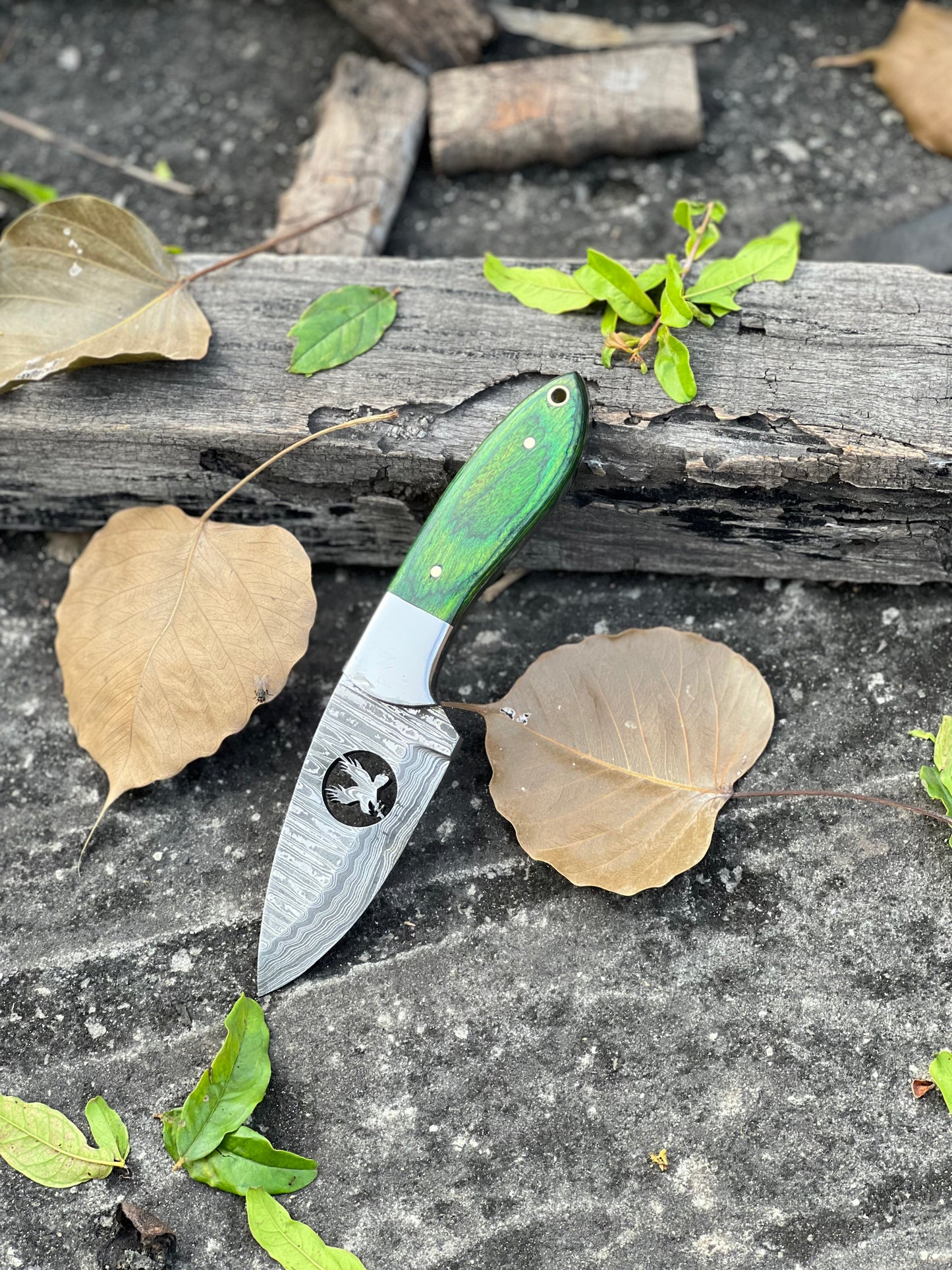 Premium 8" Damascus Steel Skinner Knife with Pakkawood Handle & Leather Sheath - Korvel