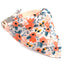 Bufanda Triangular Floral Margarita para Mascotas