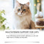 Premium Multivitamin Tablets for Cats