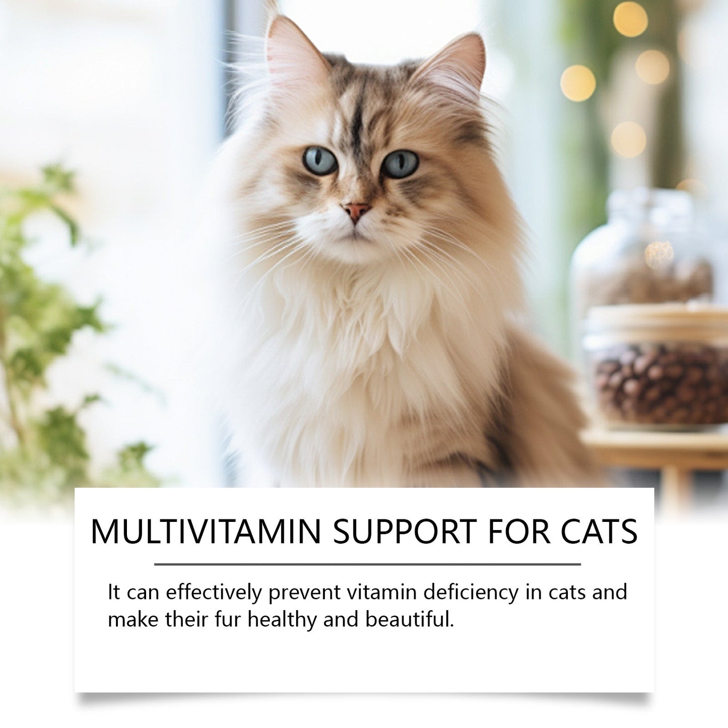 Premium Multivitamin Tablets for Cats
