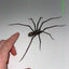 Plastic Spider as Decoration - Novelty Ornament - Korvel