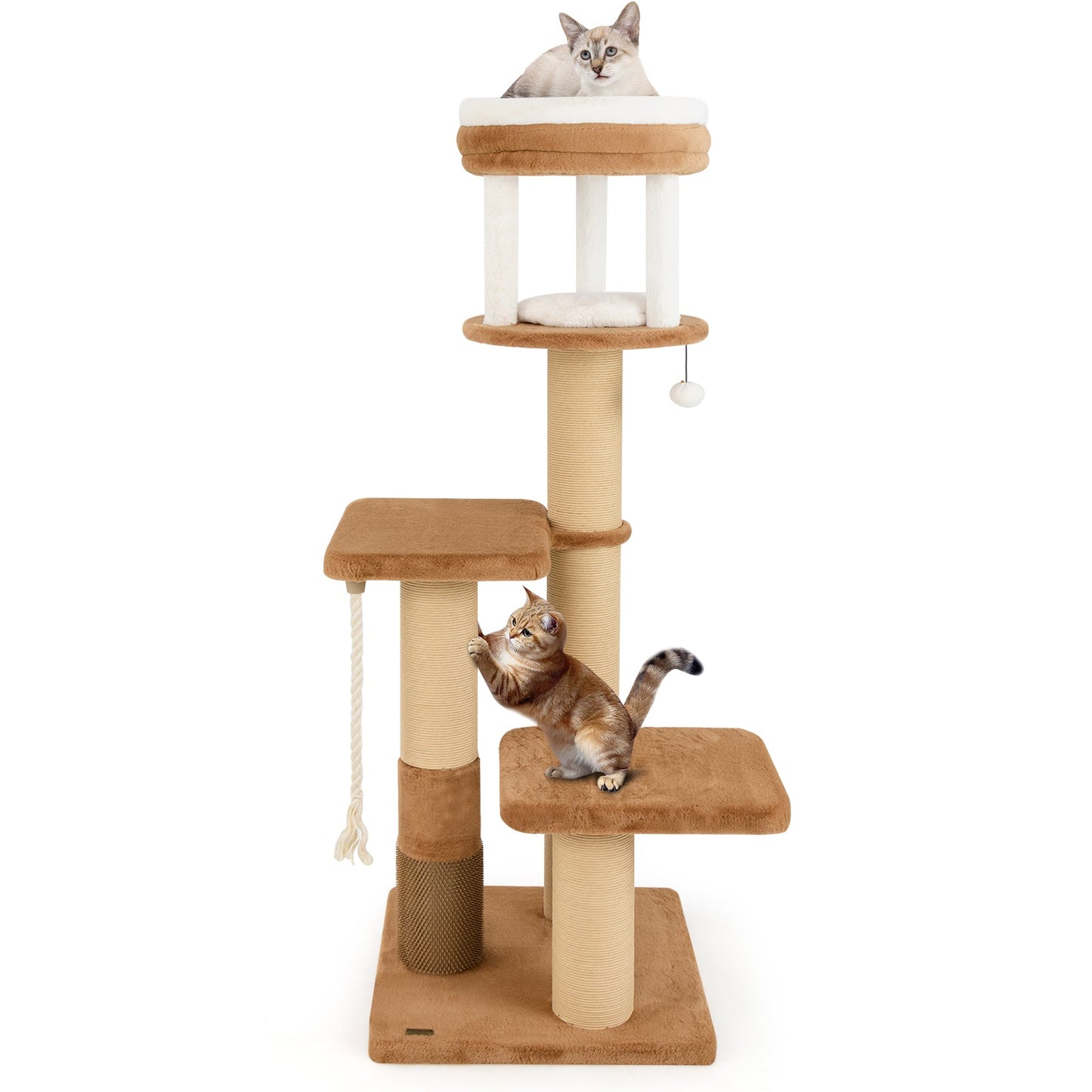 65-Inch Tall Cat Tree with Self-Groomer & Removable Bed - Coffee