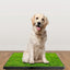 Gbruno Almohadilla de Entrenamiento para Perros con Césped Artificial