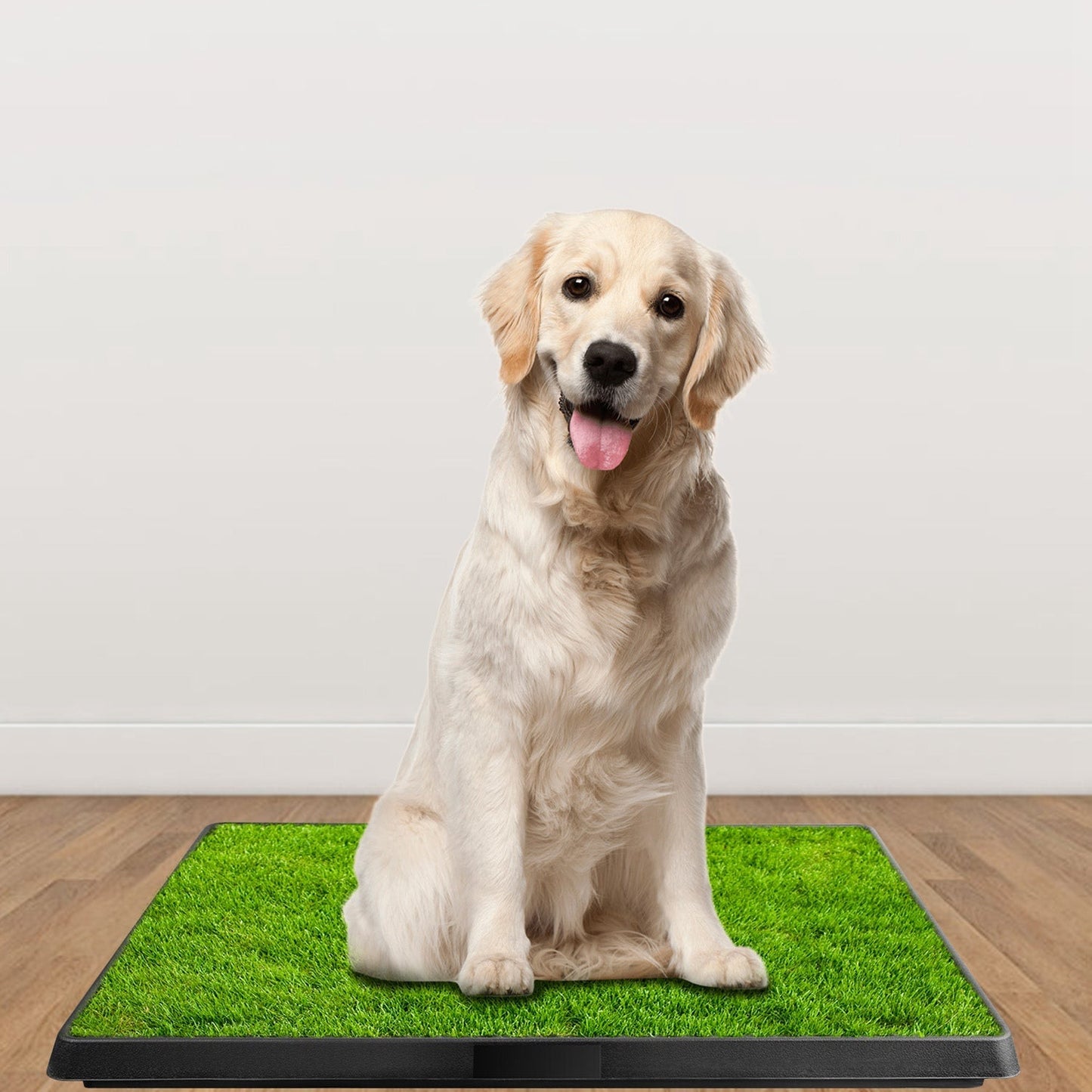 Gbruno Almohadilla de Entrenamiento para Perros con Césped Artificial
