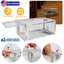 GBruno Humane Rat Trap Cage