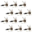 Barbless Adams Irresistible Classic Dry Fly - 1 Dozen Flies Hook Size 14