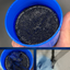 Toilet cleaner, toilet deodorizer, flushing cleaner, descaling cleaner, powerful yellow and dirt remover, blue bubble cleaner - Korvel