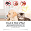 Pet Insect Repellent Spray, Dog And Cat Hair And Skin Insect Repellent Daily Gentle Cleaning And Care Agent - Korvel