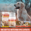 Poudre hémostatique premium pour animaux de compagnie pour les soins des blessures