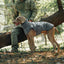 Premium Thick Cotton Dog Coat for Winter Comfort