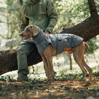 Premium Thick Cotton Dog Coat for Winter Comfort