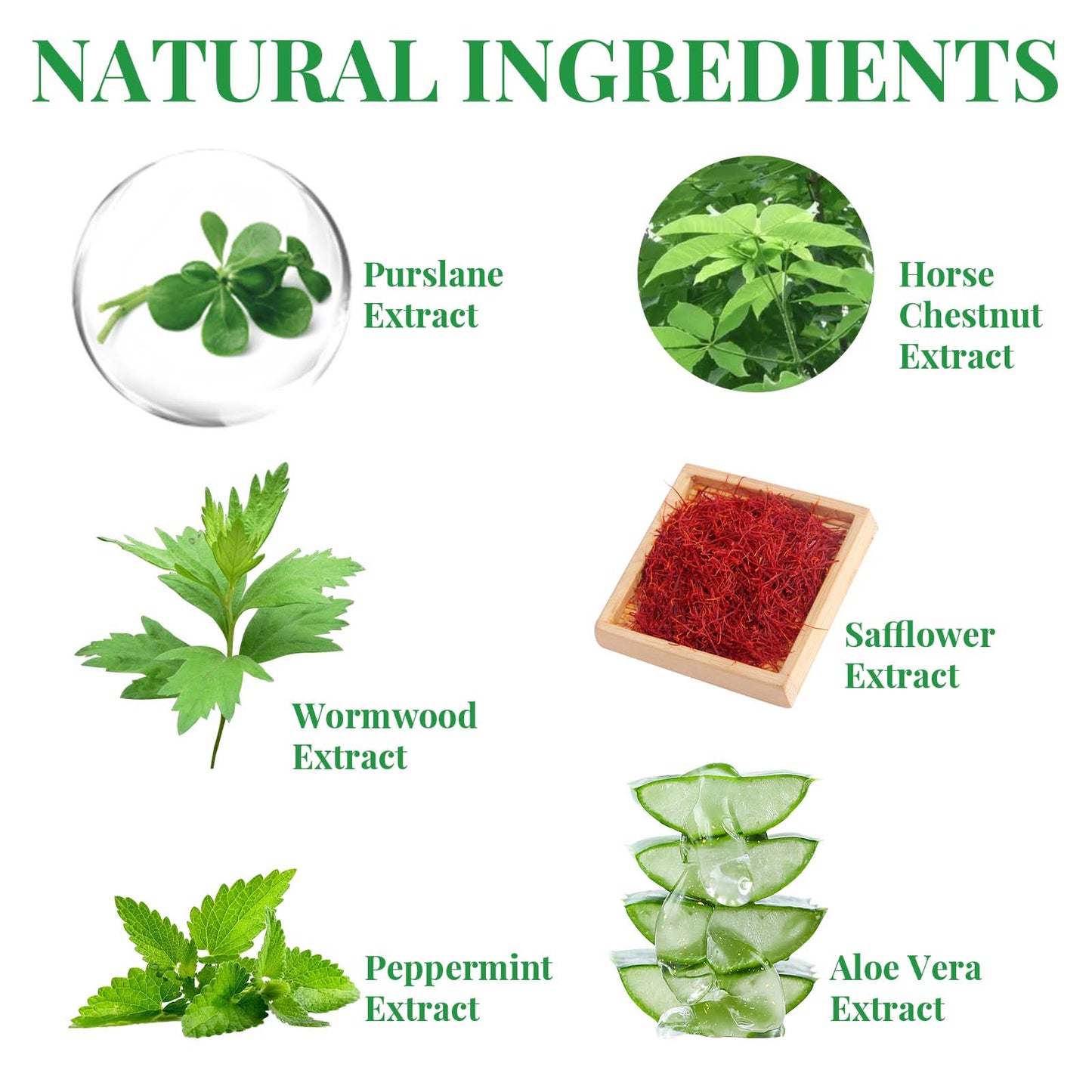 Purslane Extract Conditioning Spray, Repair Earthworm Leg Relieve Leg Soreness Vein Massage Care Spray - Korvel