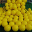 12Pcs Foam Practice Golf Balls Yellow Green Orange Golf Training Balls Outdoor Indoor Putting Green Target Backyard Swing Game - Korvel