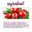 Tamanu Facial Oil for Radiant Skin
