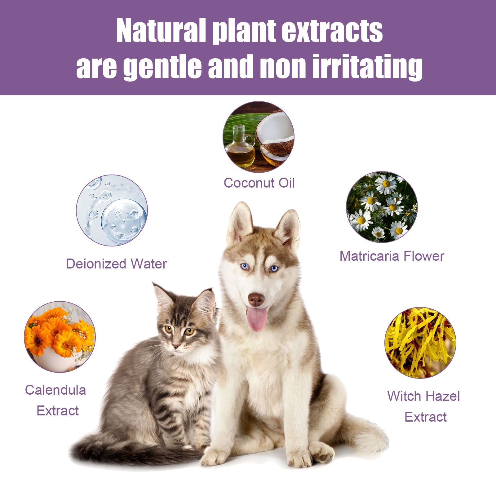 Pet Ear Cleaner, Cats And Dogs Relieves Ear Canal Odors Cleaning Earwax Ear Wash Drops - Korvel