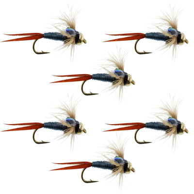 Copper John Nymph Flies - Metallic Blue Bead Head - 6 Pack - Size 12 - Korvel
