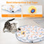Balle de Jouet Interactive Rechargeable pour Chats d'Intérieur