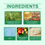 Premium Rosemary Oil for Nourishing Hair Care