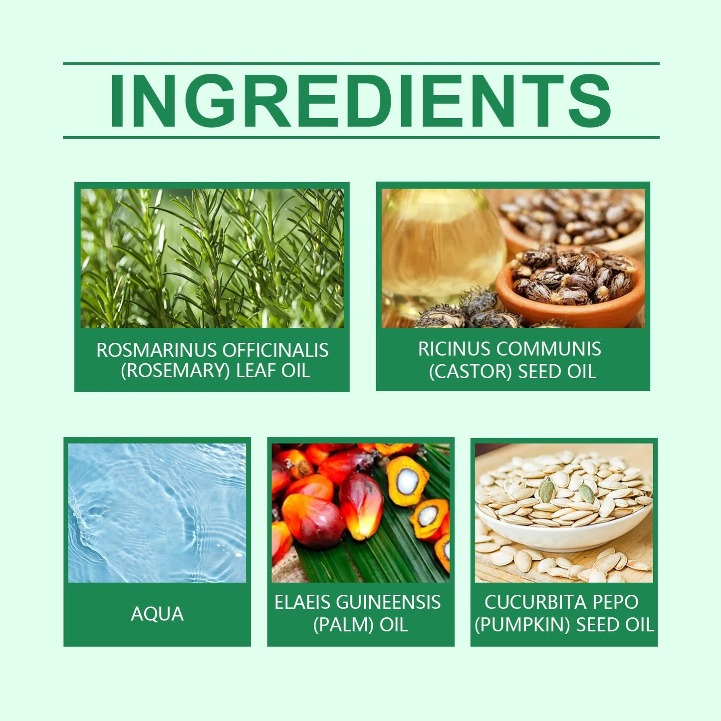 Premium Rosemary Oil for Nourishing Hair Care