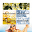 Rose UV Protection Cream, Outdoor UV Brightening Skin Portable Dry Oil Protective Cream - Korvel
