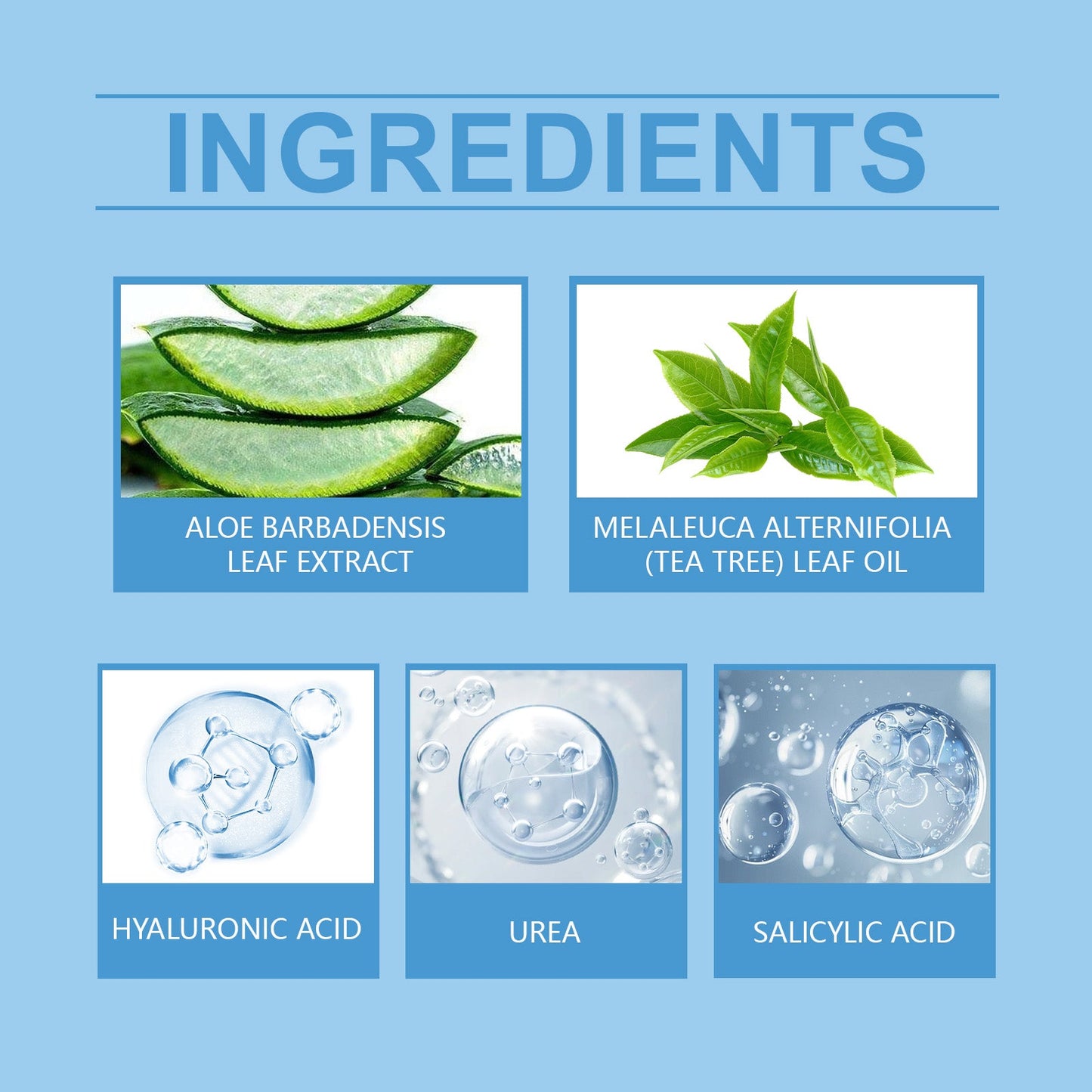 Premium Hand and Foot Care Moisturizer
