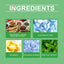 Liquid Chlorophyll Body Treatment - Korvel