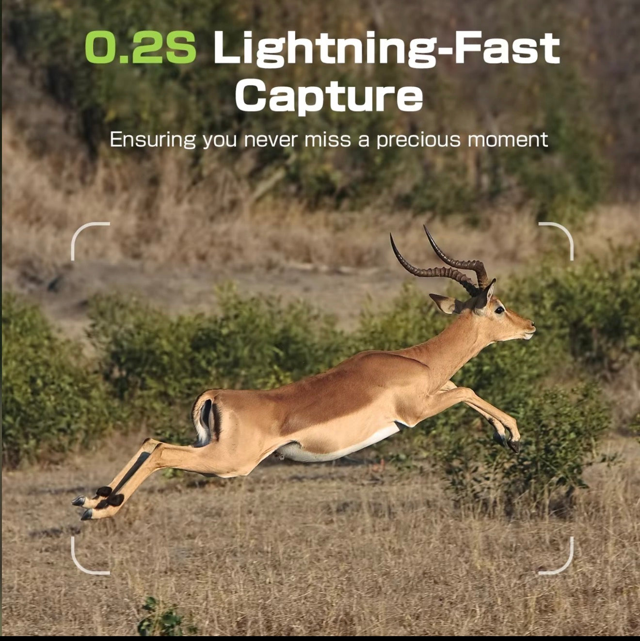 SolarGuard 4G LTE Camera - Korvel