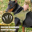 Gilet tactique premium pour grandes races