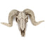 Horned Skull Wall Hanging Creative Home Living Room Decor Retro Resin Craft - Korvel