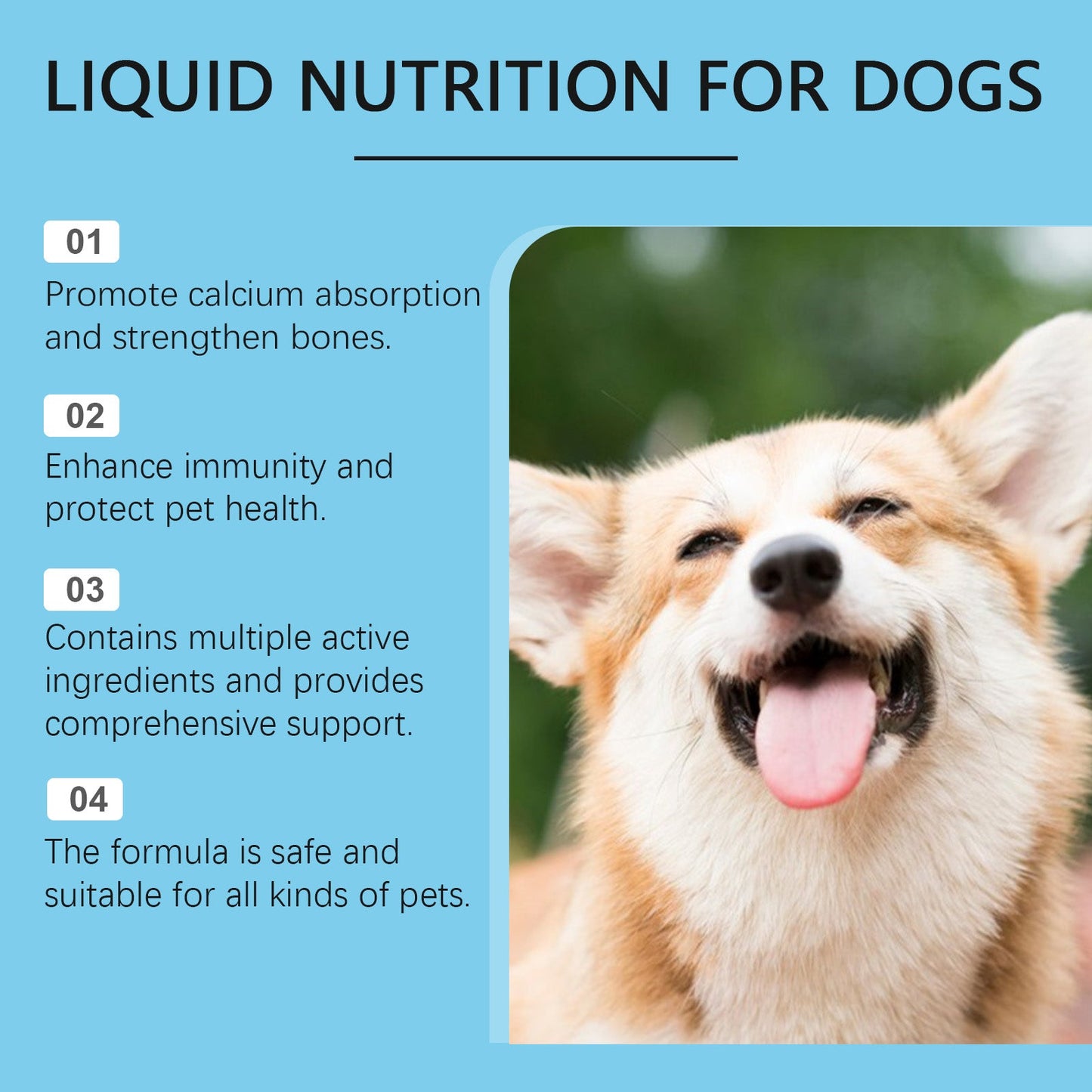 Pet Vitamin Supplement Drops Enhance Immunity And Promote Vitality Healthy Dietary Supplement Drops - Korvel