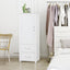 Tall bathroom storage cabinet with two drawers and adjustable shelves for independent storage - Korvel