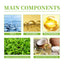 Green Tea Cleansing Mousse - Refreshing Facial Cleanser