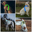 Pet supplies: explosion - proof, flushable, 8 - gear, color - changing LED, chest braces, clothes and collars with traction. - Korvel