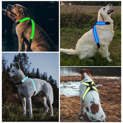 Pet supplies: explosion - proof, flushable, 8 - gear, color - changing LED, chest braces, clothes and collars with traction. - Korvel
