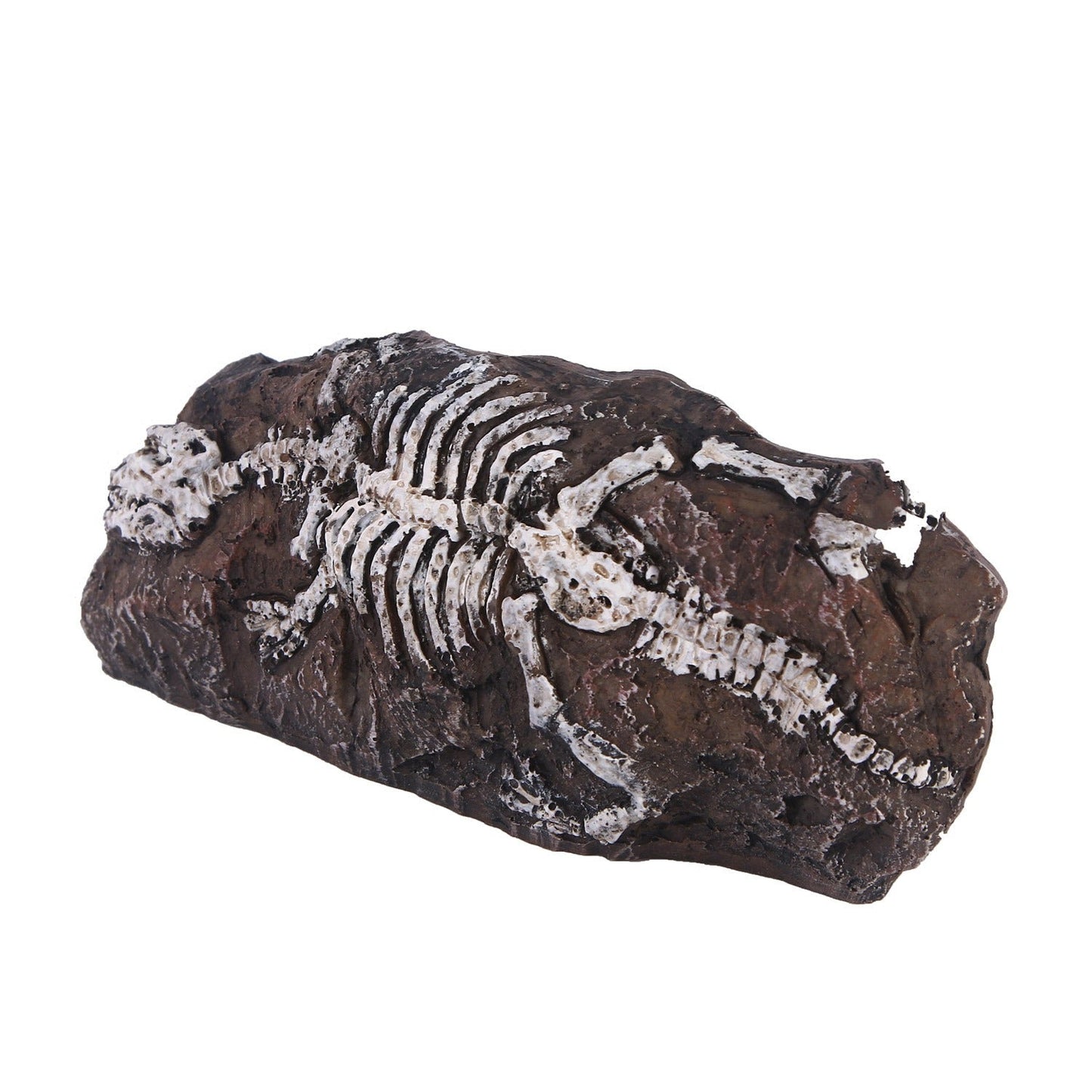Fossil aquarium fish tank resin ornaments - Korvel